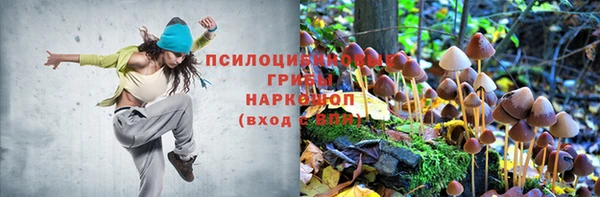 дживик Бугульма