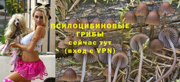 не бодяженный Богородицк